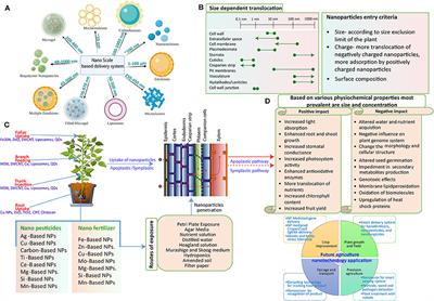 Nanoparticle-Based Sustainable Agriculture and Food Science: Recent Advances and Future Outlook